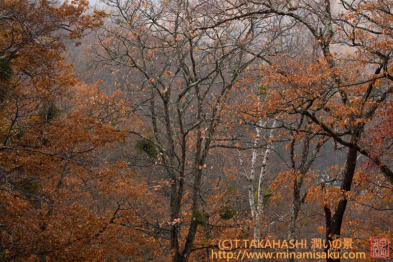 ../Images/7R251109 (120).jpg